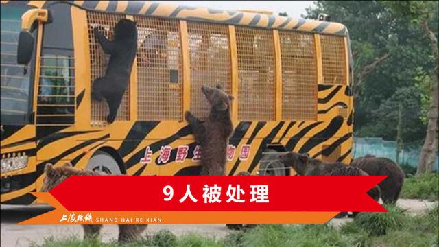 90秒还原上海群熊伤人事件,驾驶员猛兽区违规下车,饲养员好心提醒被咬死