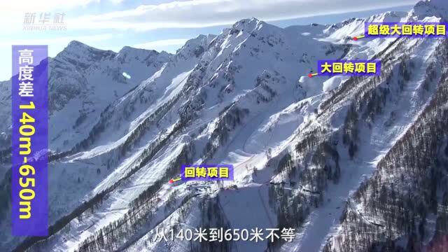 冬奥知识|第十集:高山滑雪