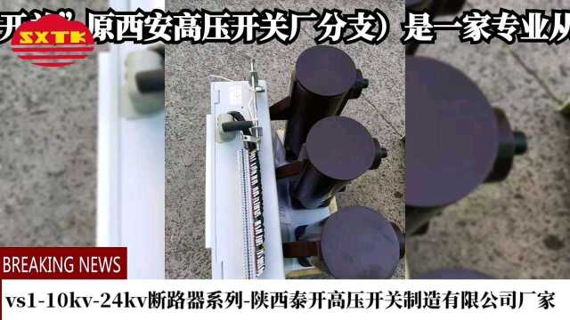 泰开VS112户内高压真空开关10kv24kv断路器(固定式手车式侧装式固封极柱式永磁式可配弹簧机构与永磁机构)