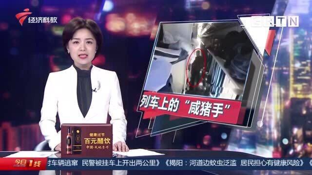 惠州:“咸猪手”深夜连续猥亵女乘客 乘警立刻出动抓“色狼”