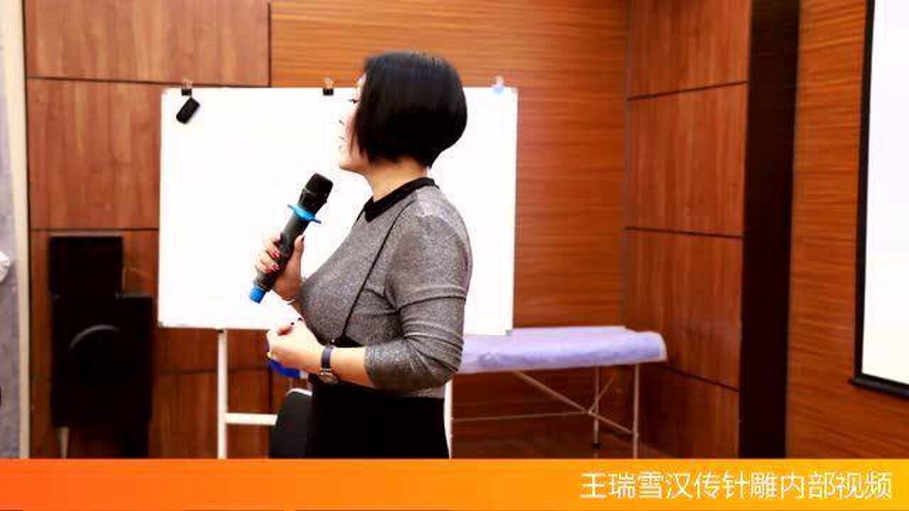 王瑞雪针灸美容全程教学视频1