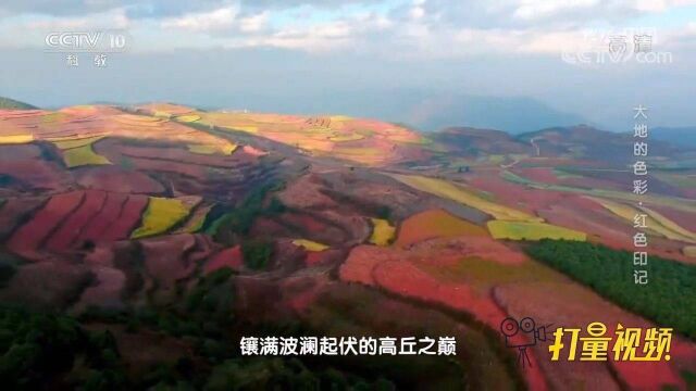 昆明北部的东川有片红色土地,宛如赤色红霞撞落人间