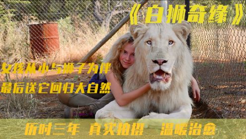 历时三年，真实拍摄，女孩从小与白狮子为伴，最后送它回归大自然，结局让人泪目。