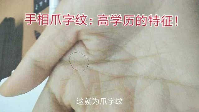 手相爪字纹:高学历特征!(63)