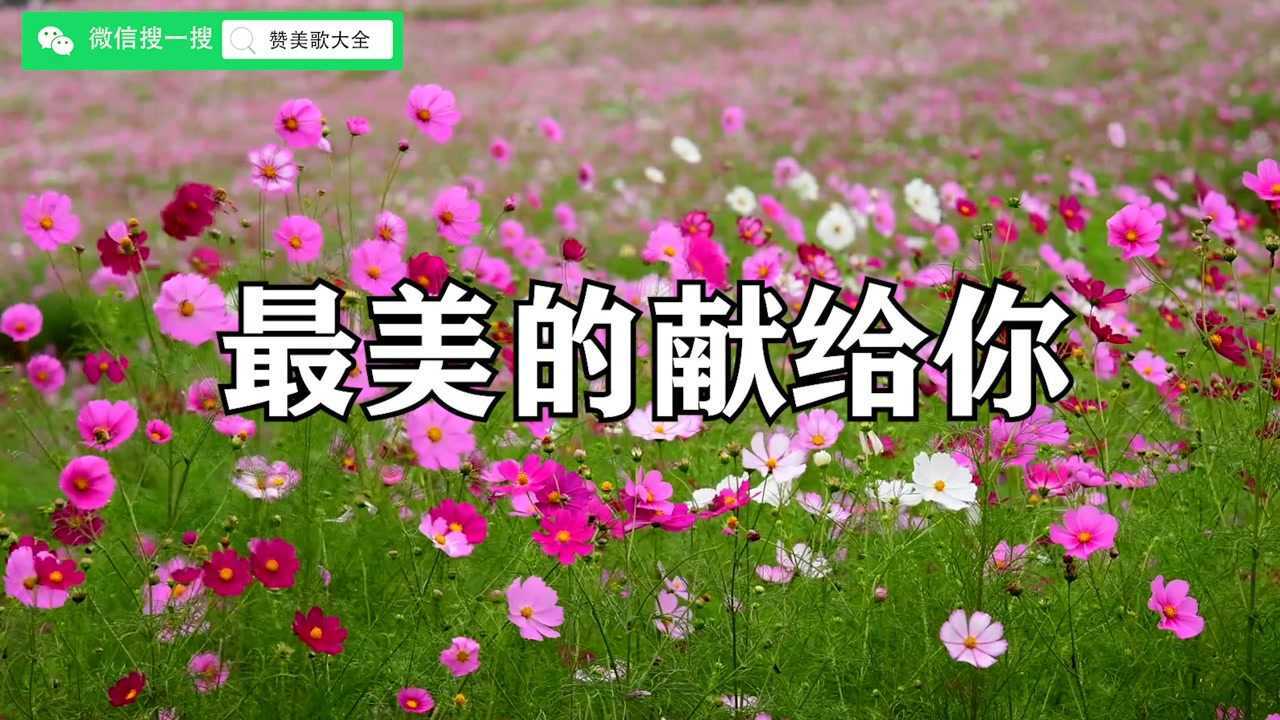 最美的献给你_腾讯视频