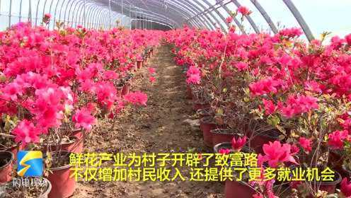 49秒丨威海环翠：鲜花产业扮靓春天 为村民开辟致富路