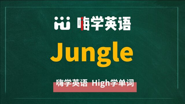 英语单词jungle是什么意思,同根词有吗,同近义词有哪些,相关短语呢,可以怎么使用,你知道吗