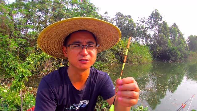 钓鲢鳙浮漂选择详解,抓口更稳中鱼率更高