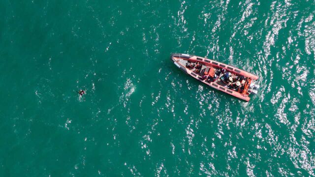 胶州湾海星泛滥初因查明:饵料太多 天敌减少