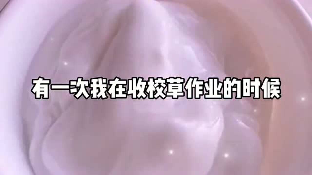 玩起泡胶讲故事有一次我在收校草作业的时候瞬间全班都炸了