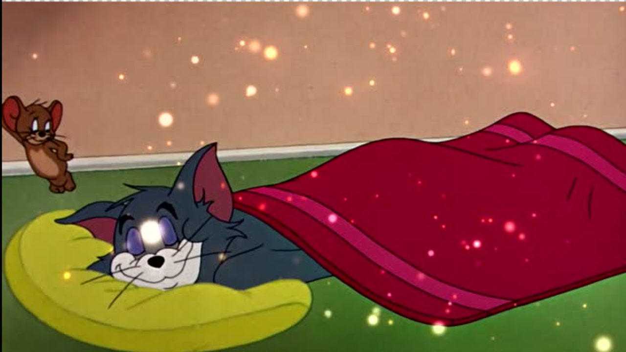 汤姆卡点秀:睡神老汤姆,沾地秒睡!