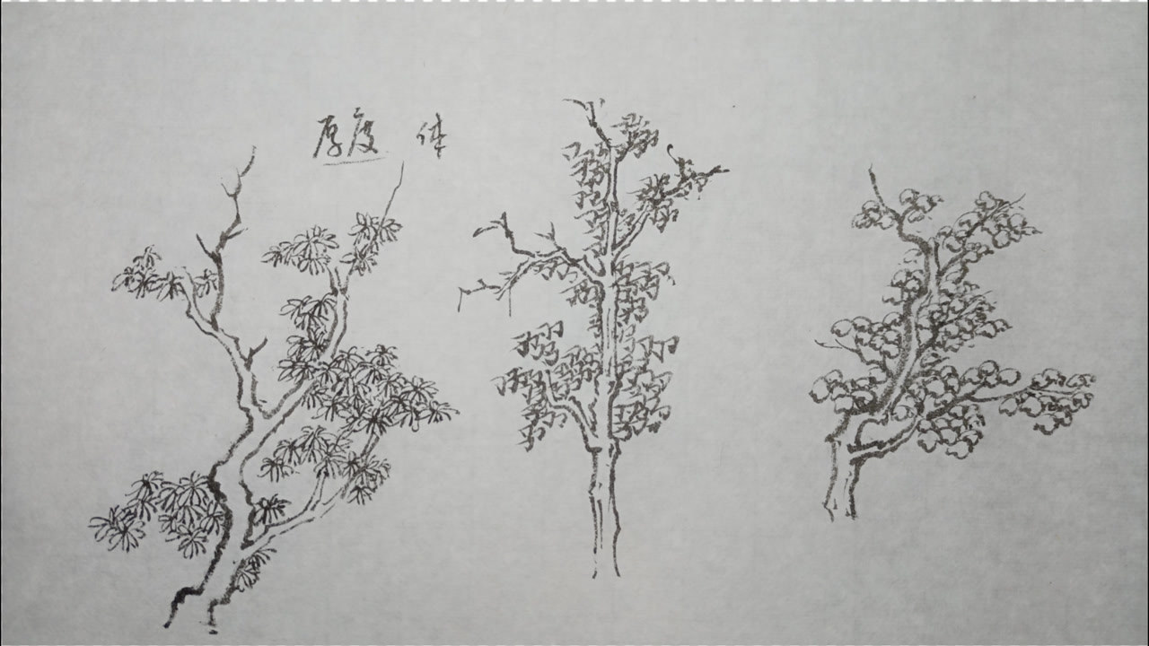 山水画夹叶画法,学会这几种就够了_腾讯视频