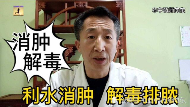 即能“除湿消肿”又能“解毒”的一味药食同源类中药