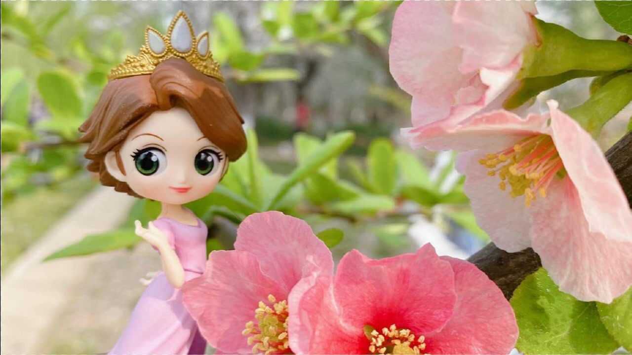 乐佩公主出来溜达赏花了短发的她萌化人心