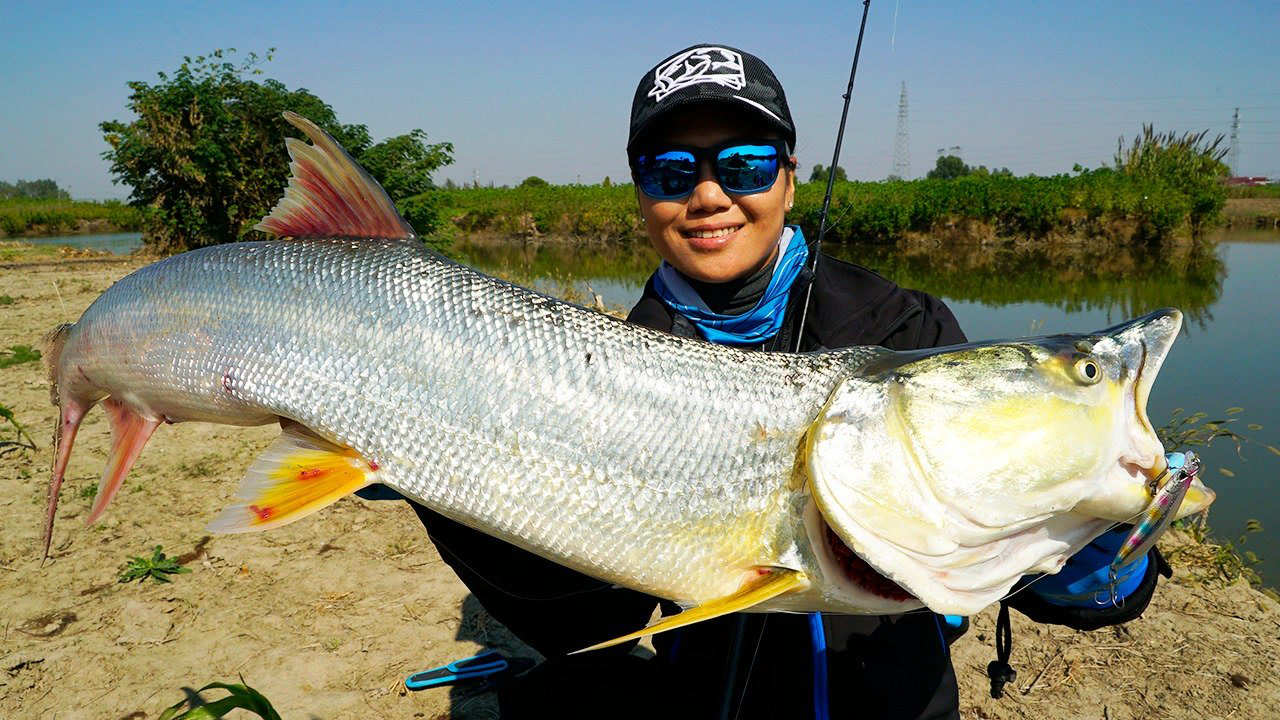 蓝旗鱼路亚 | 鲌客超投钓鳡鱼,实战钓手兰兰小姐姐凶悍搏鱼!
