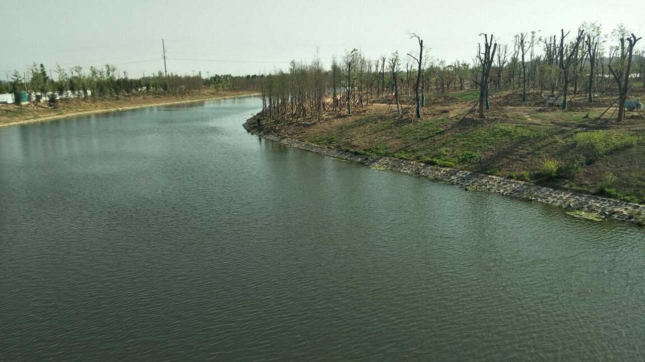 流经商丘李口镇的大沙河美景如画