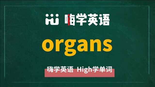 一分钟一词汇,小学、初中、高中英语单词五点讲解,单词organs讲解