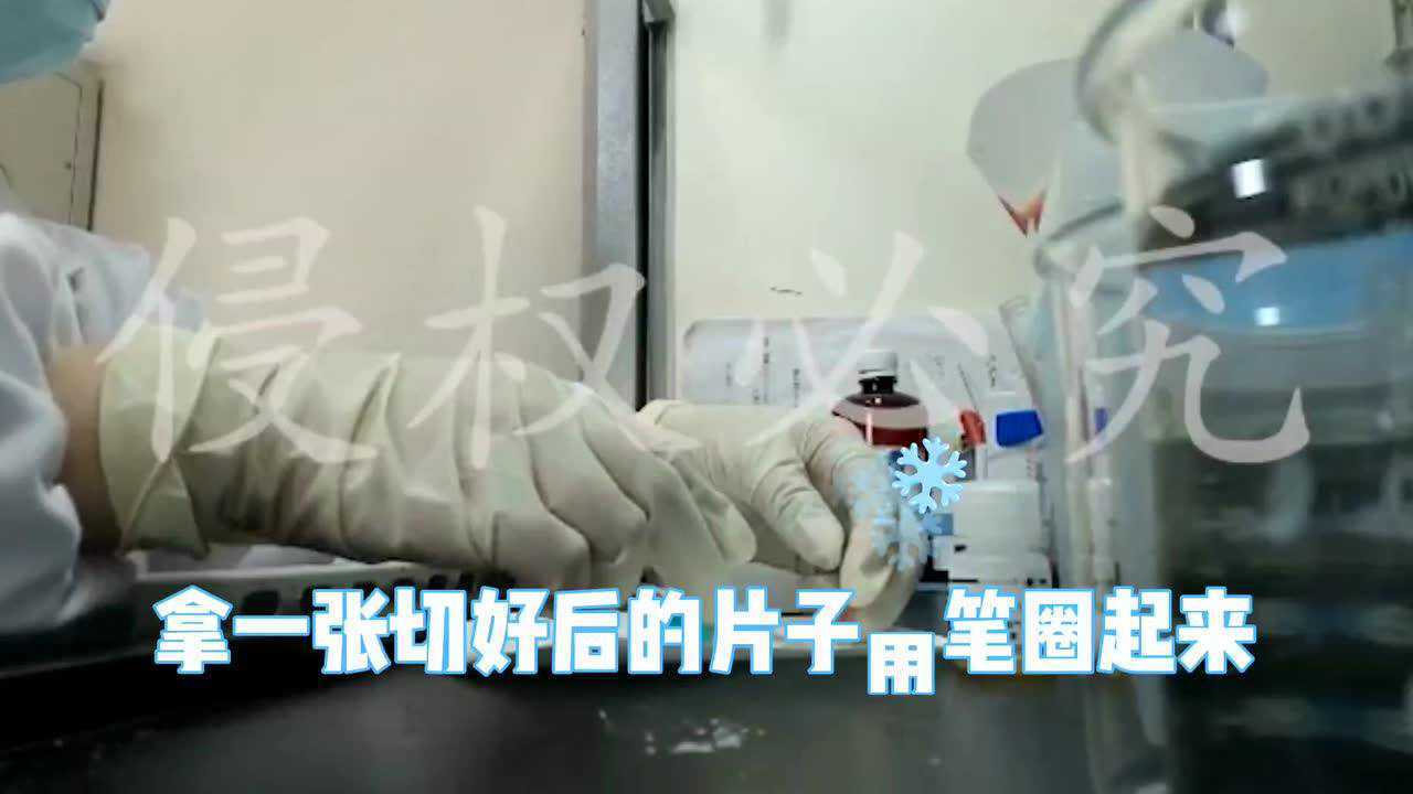 看视频，学习油红o染色！_高清