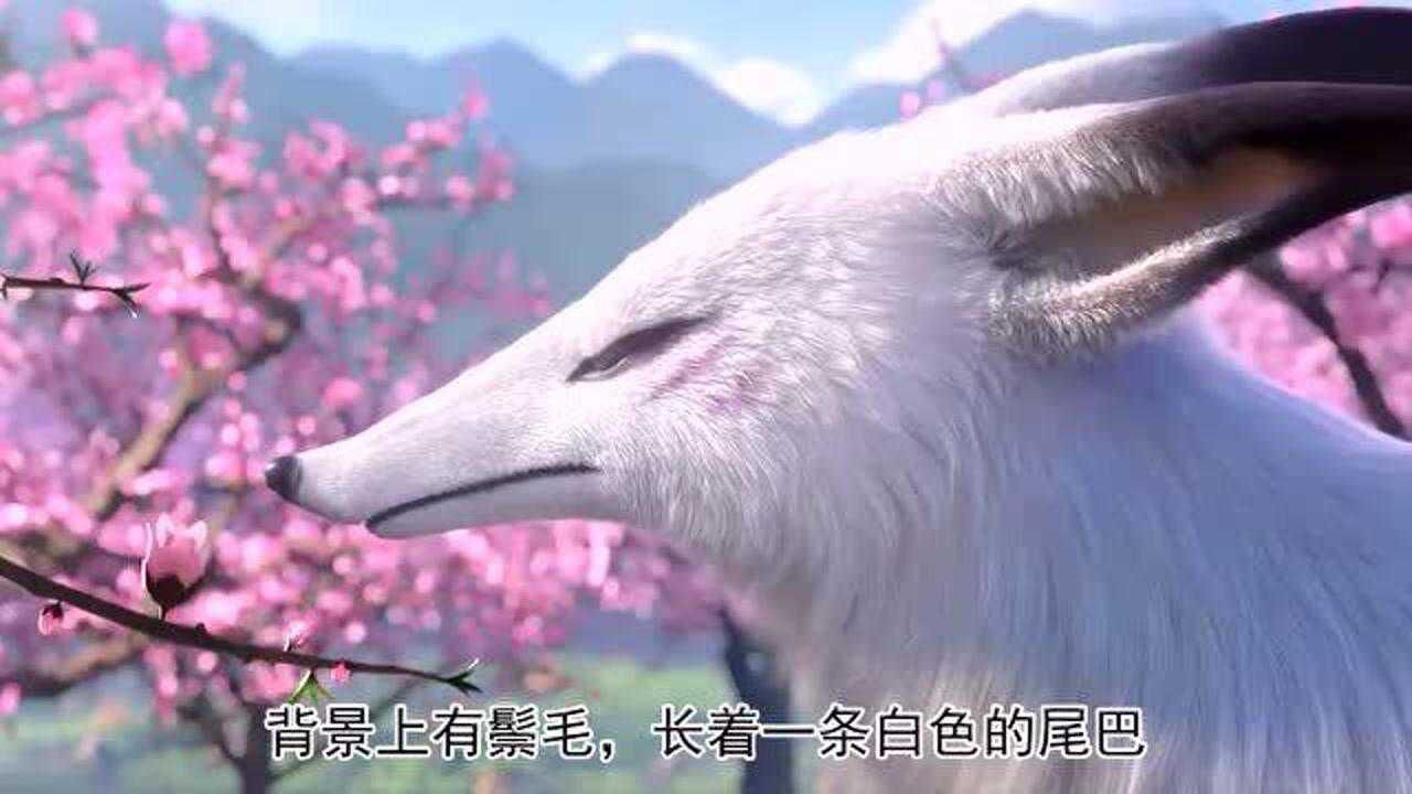 上古神兽腓腓，神族的宠物，是上古时代猫科动物的先祖_高清1080P在线观看平台_腾讯视频