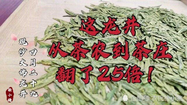 这龙井从茶农到茶庄翻了25倍,我们看看究竟为什么?