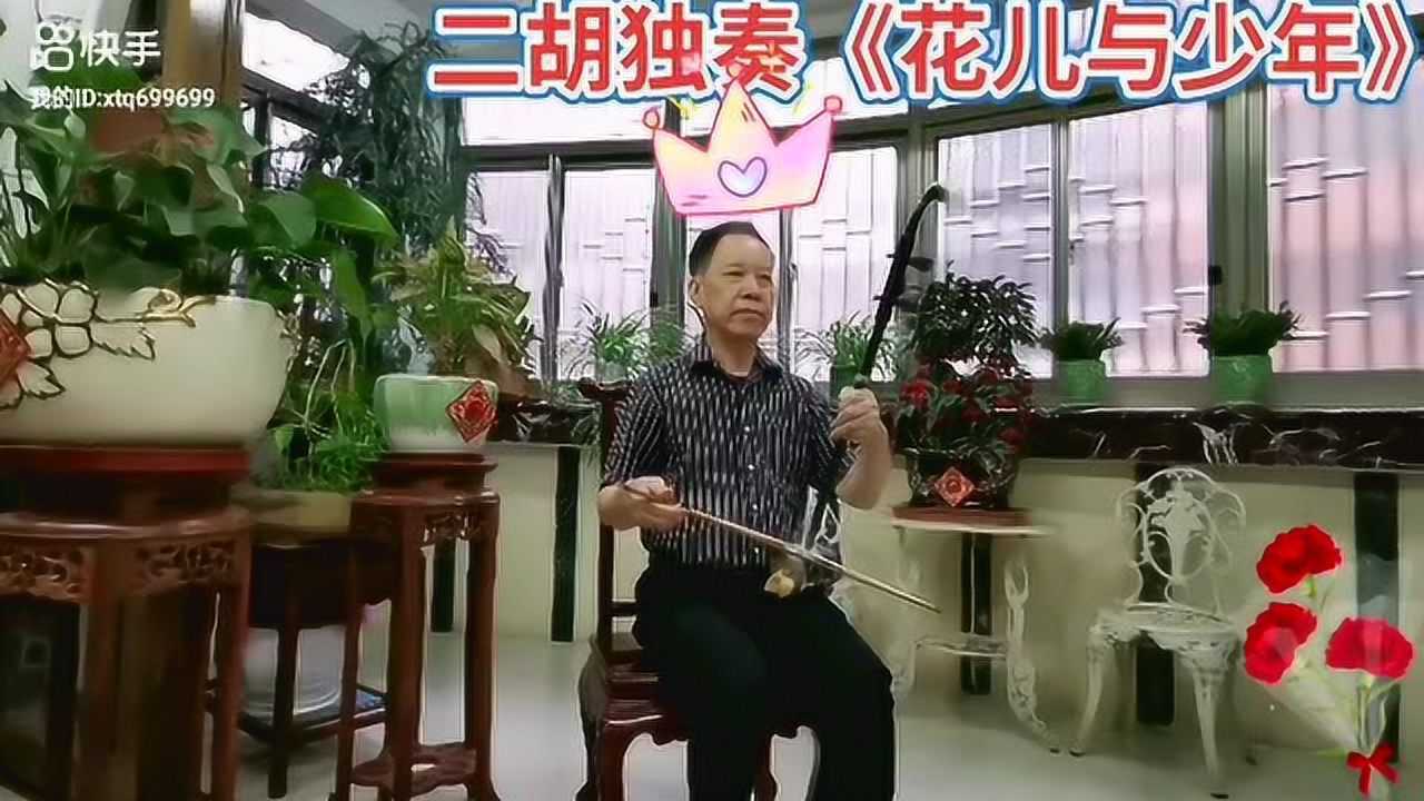 二胡独奏花儿与少年