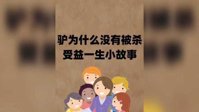 大家觉得小毛驴很笨吗?