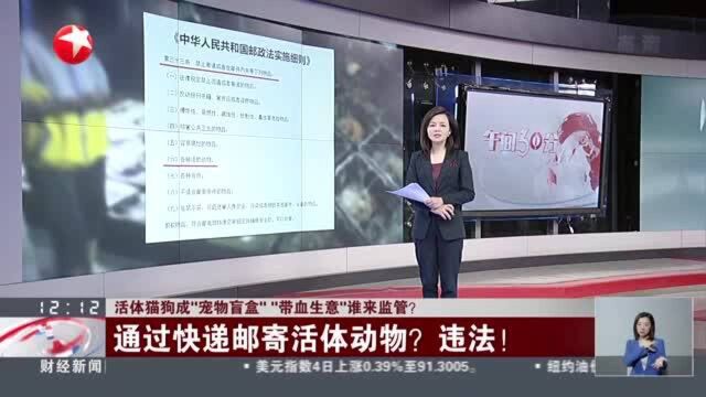 活体猫狗成“宠物盲盒”“带血生意”谁来监管? 通过快递邮寄活体动物? 违法!