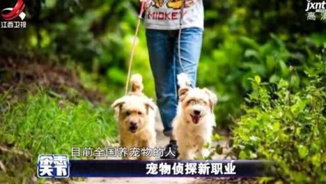 宠物侦探新职业