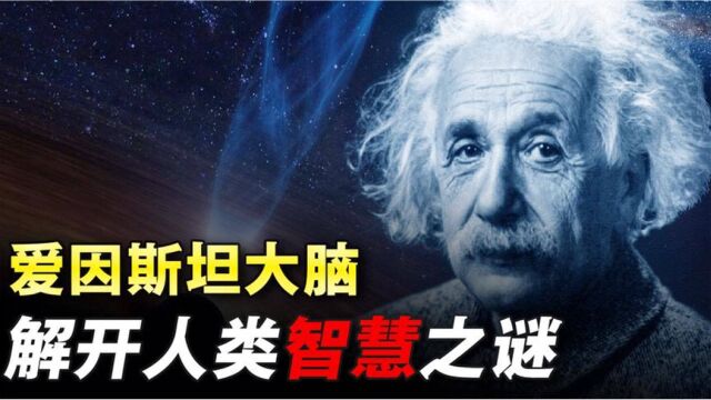 爱因斯坦大脑有什么秘密?死后被切成240片,研究发现聪明的真相