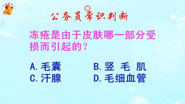 公务员常识判断,冻疮是由于皮肤哪一部分受损而引起的?长见识啦