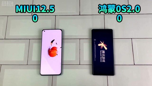 看看鸿蒙OS2.0对比MIUI12.5:MIUI优化后确实不错!