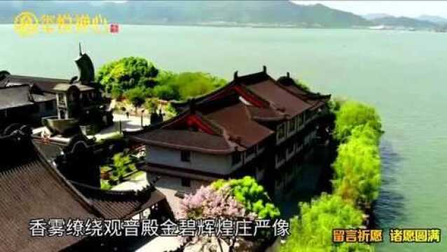 动听佛曲《甘露》,天籁梵音净化心灵,修身养性菩提心