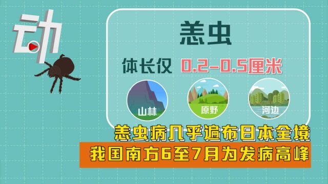 恙虫病几乎遍布日本全境 我国南方6至7月为发病高峰