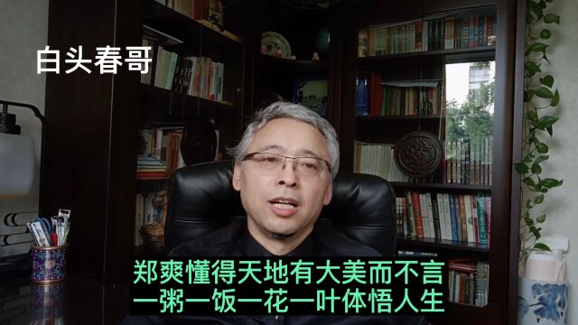 郑爽懂得天地有大美而不言,一粥一饭一花一叶体悟人生