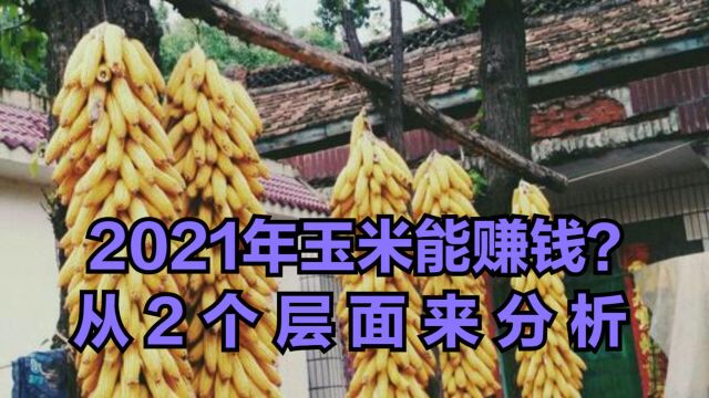 2021年玉米能赚钱,从2个层面来分析,赔钱的可能性非常小!