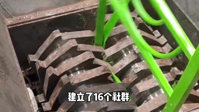 靠收废品一年赚15W,看懂这1个模式,你也能当老板