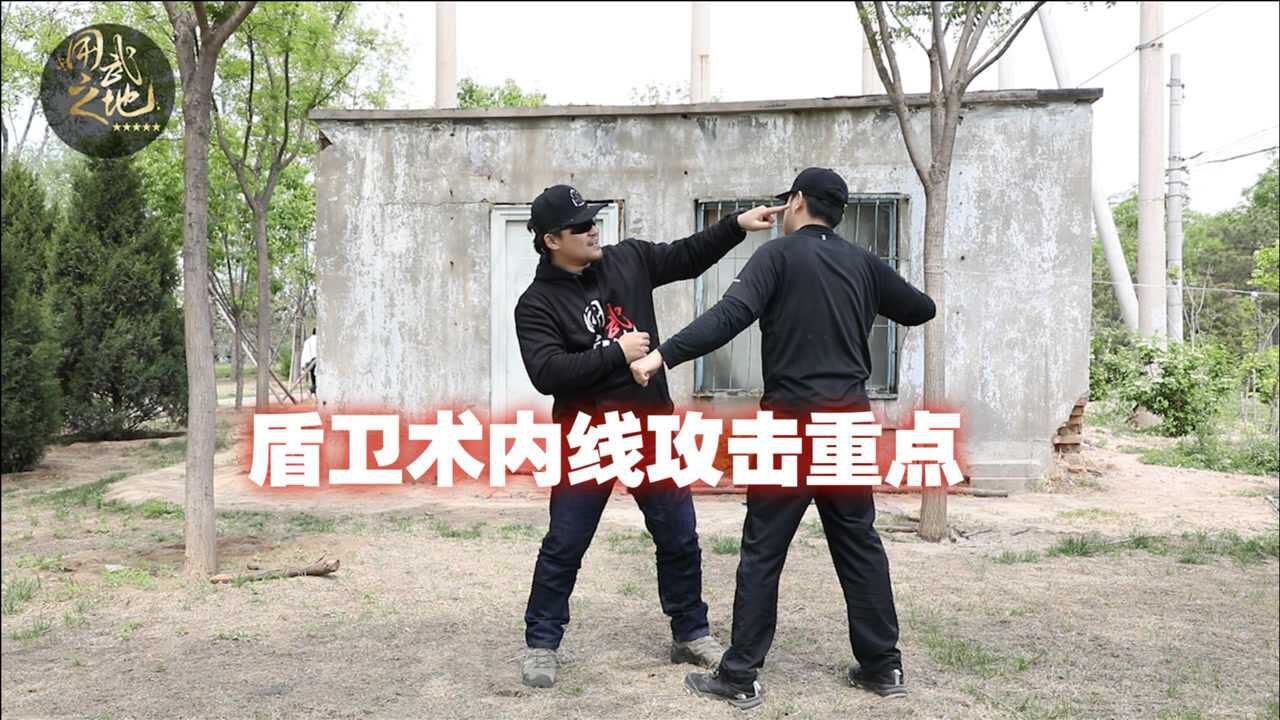 盾卫术创始人亲自演练什么才是盾卫术内线战斗的精髓