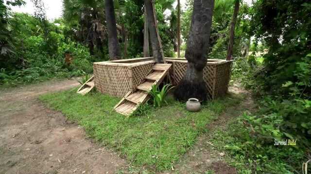 大妈一觉醒来,在棕榈果林下建造“竹片泳池”,打破传统颠覆三观