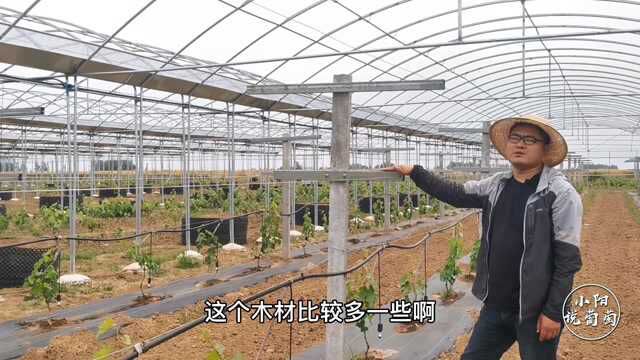 葡萄基础架构如何构造?今天单讲v型架,不知道的要注意学习了!