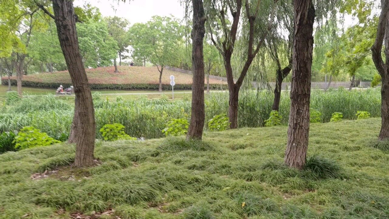 上海嘉定紫气东来公园