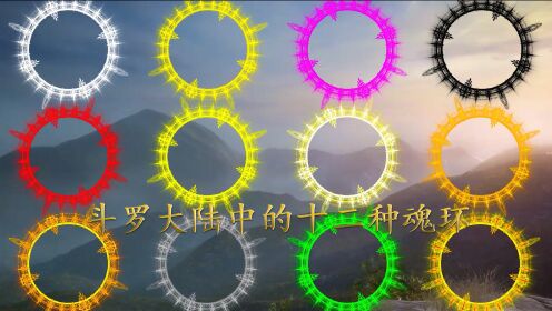 斗罗大陆中的十二种魂环