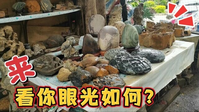 眼光决定财运,小伙业余逛奇石摊,普通石头背后有商机,去看看