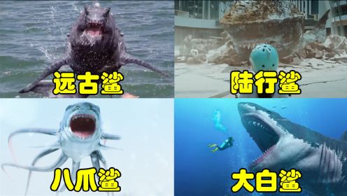 盘点电影里的变异鲨鱼，陆行鲨好凶猛，八爪鲨鱼长的有点过分了
