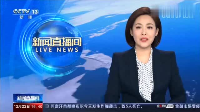 英国 埃塞克斯郡集装箱货车惨案 两名嫌疑人被判过失杀人罪