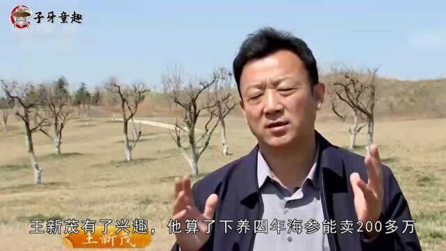 山东破烂王改行卖海参,一年销售额8000多万,带动50户的养殖户致富!