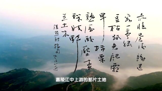 书法丨四川广元苍溪