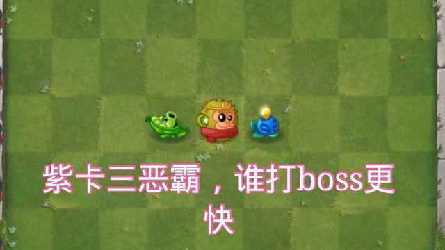 植物大战僵尸2:紫卡三恶霸,谁打邪恶入侵boss更快?