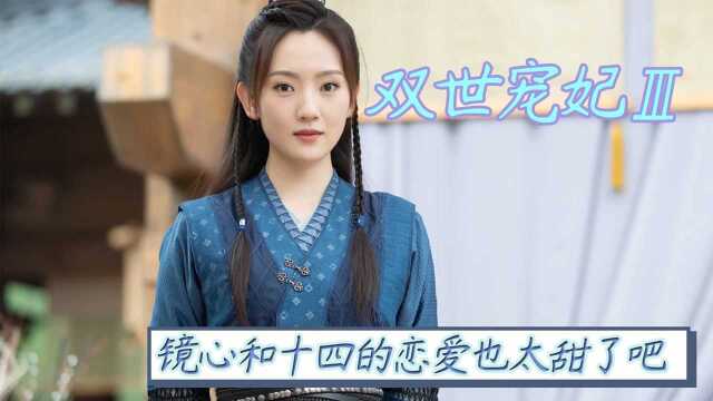 #《双世宠妃3》短视频征稿大赛# 《双世宠妃3》镜心和十四的恋爱,也太甜了吧,谁不想要呢!