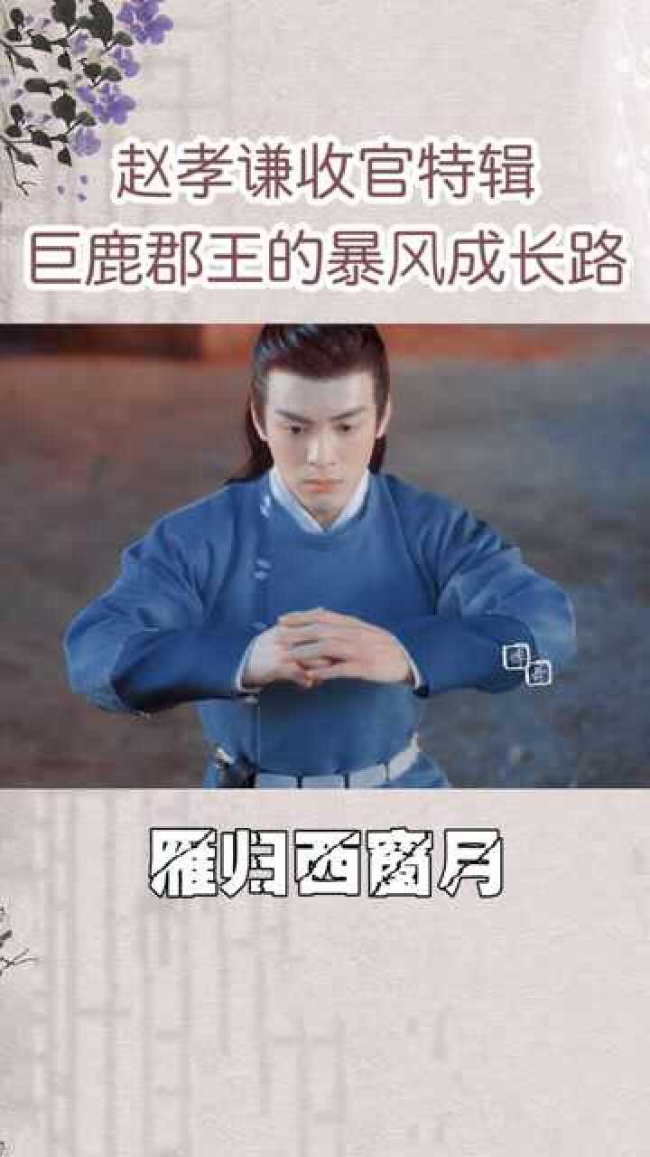 赵孝谦收官特辑巨鹿郡王的暴风成长路雁归西窗月