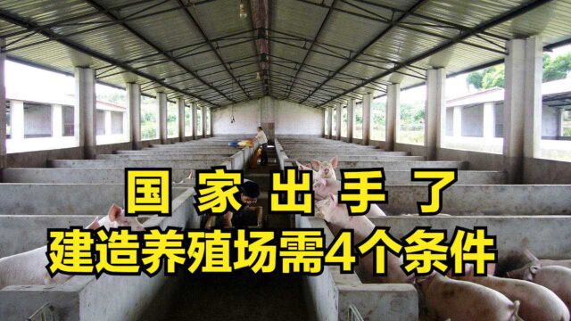 国家出手了!农民建造养殖场只需满4个条件,养殖户翻身指日可待